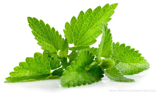 The Magical Effect &#038; applications of peppermint essential oil