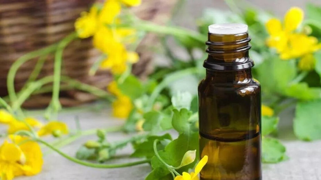 Three Must-Have Essential oils for Women