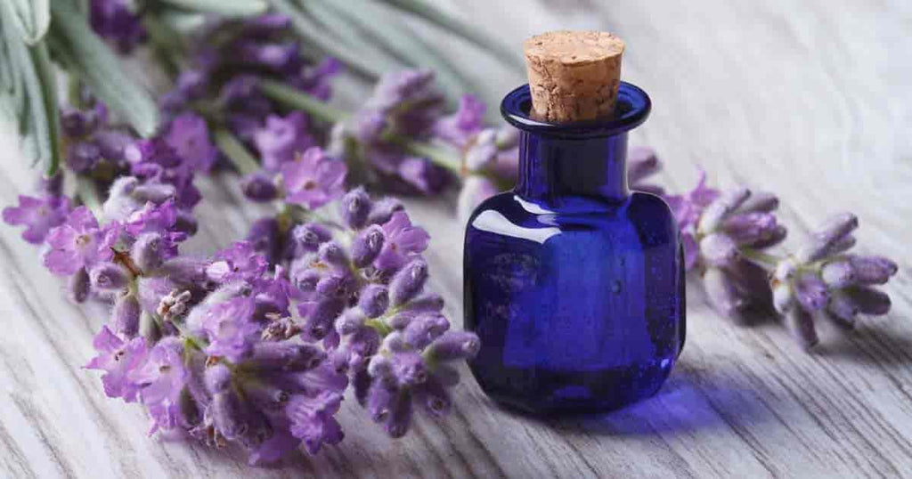 7 Lifestyle Benefits Of Lavender Essential Oil